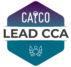 CyberAB Lead CMMC Certified Assessor